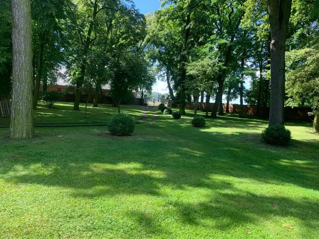 Zdjęcie przedstawia park, w którym nasza firma realizowała zlecenie skoszenia trawy oraz pielęgnacji roślin znajdującyh się w parku