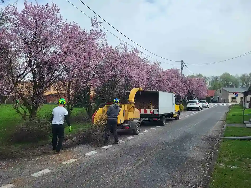 Zdjęcie przedstawiające realizację przez naszą firmę, zlecenia zrębkowania gałęzi oraz posprzątania terenów zielonych po wycince.
